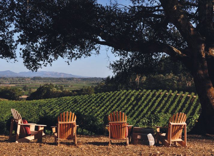 Sprawling across 110 acres, BRAND Napa Valley is home to three distinct vineyards. BY JIMMY HAYES